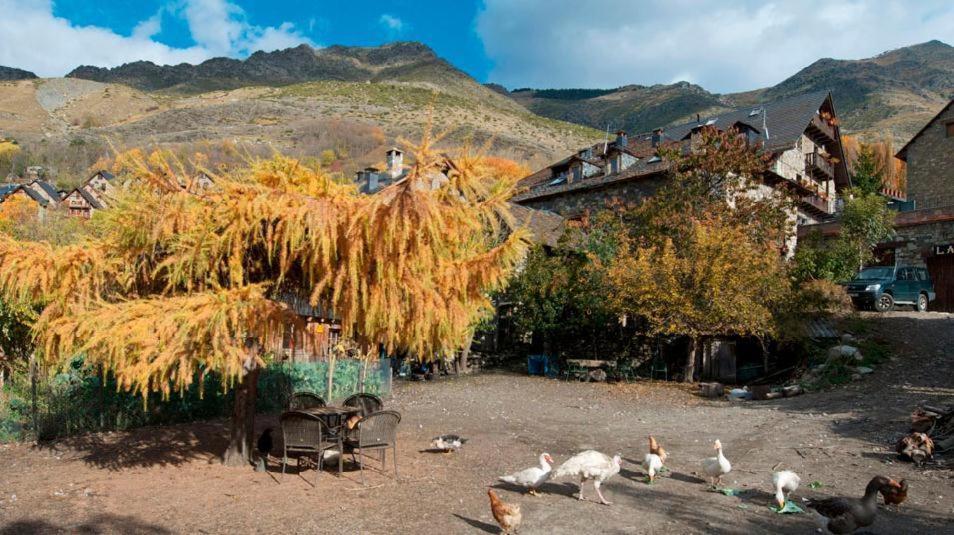 Holiday home Casa Independiente Rural Ca De Corral *