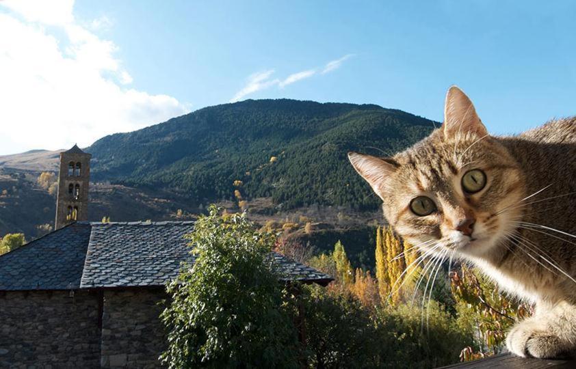 Casa Independiente Rural Ca De Corral Taull