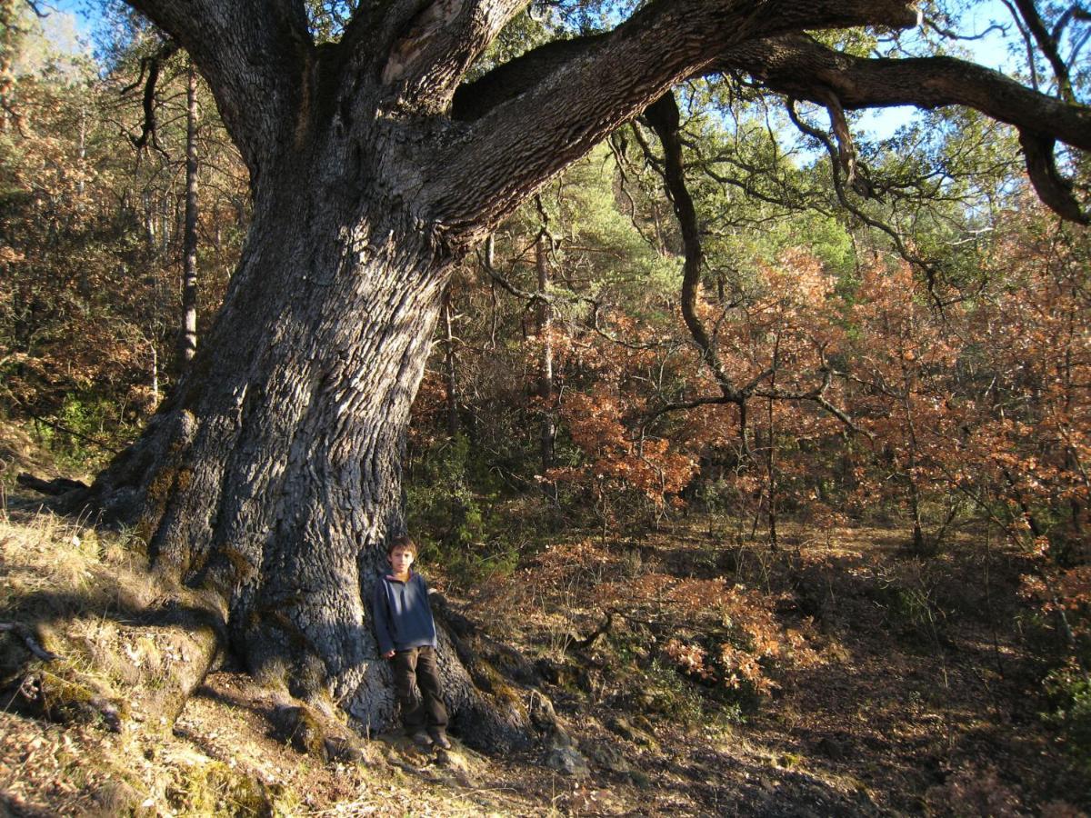 Casa Independiente Rural Ca De Corral